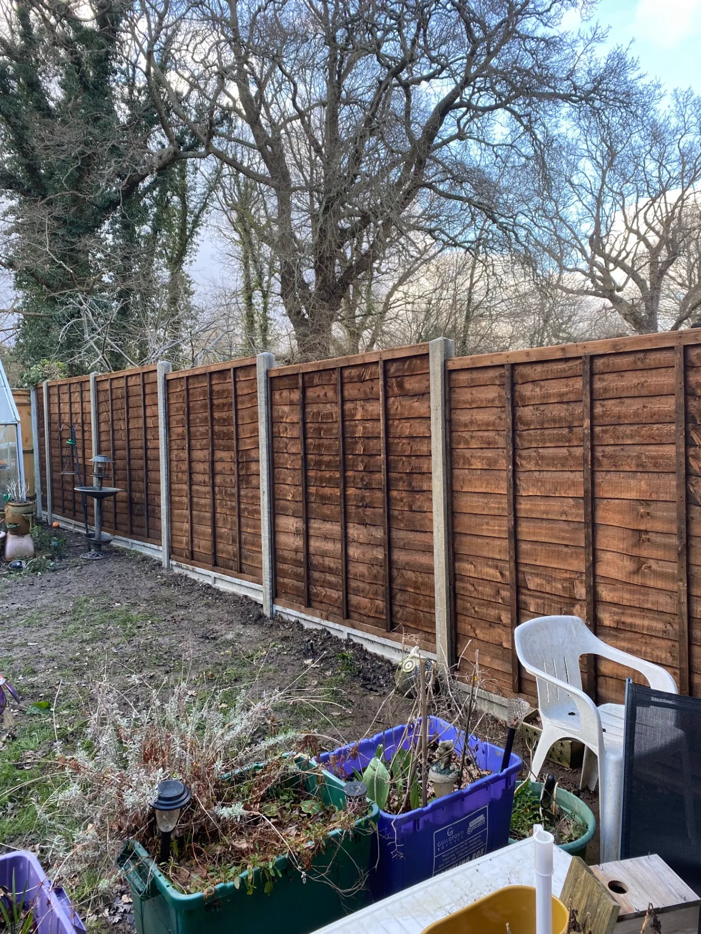 Replacement lap fence panels fitted behind a back garden
